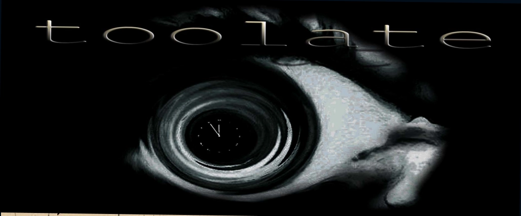 toolate 2003 - 2008 - Banner